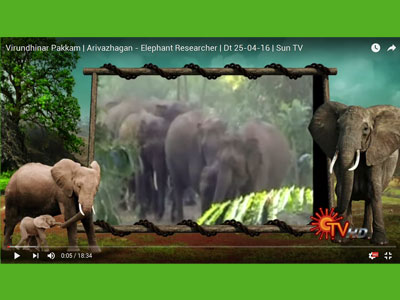 slideshow_large